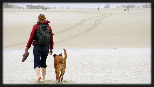 Gassigang am Strand mit Hund